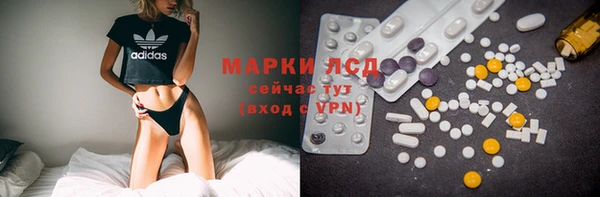 трава Сатка