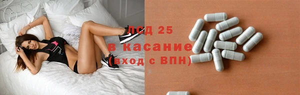 трава Сатка