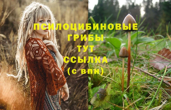 трава Сатка