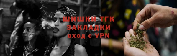 трава Сатка