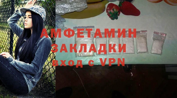 трава Сатка