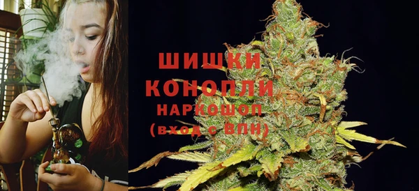 прущие грибы Семёнов