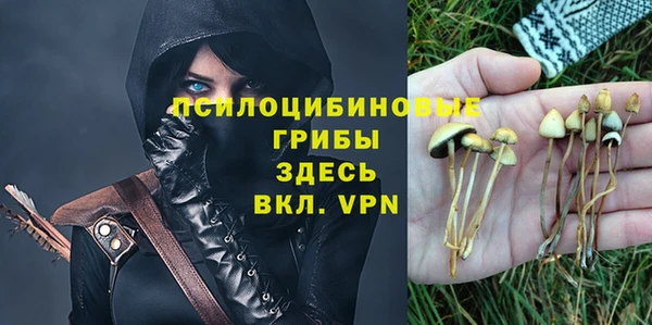 трава Сатка
