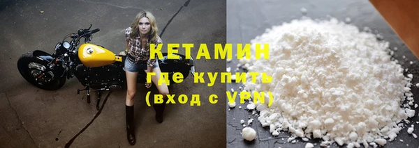 трава Сатка
